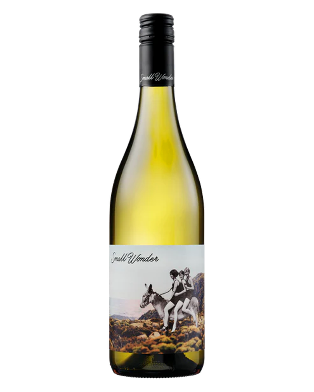 2025 Small Wonder Landscape Series Chardonnay 750ml