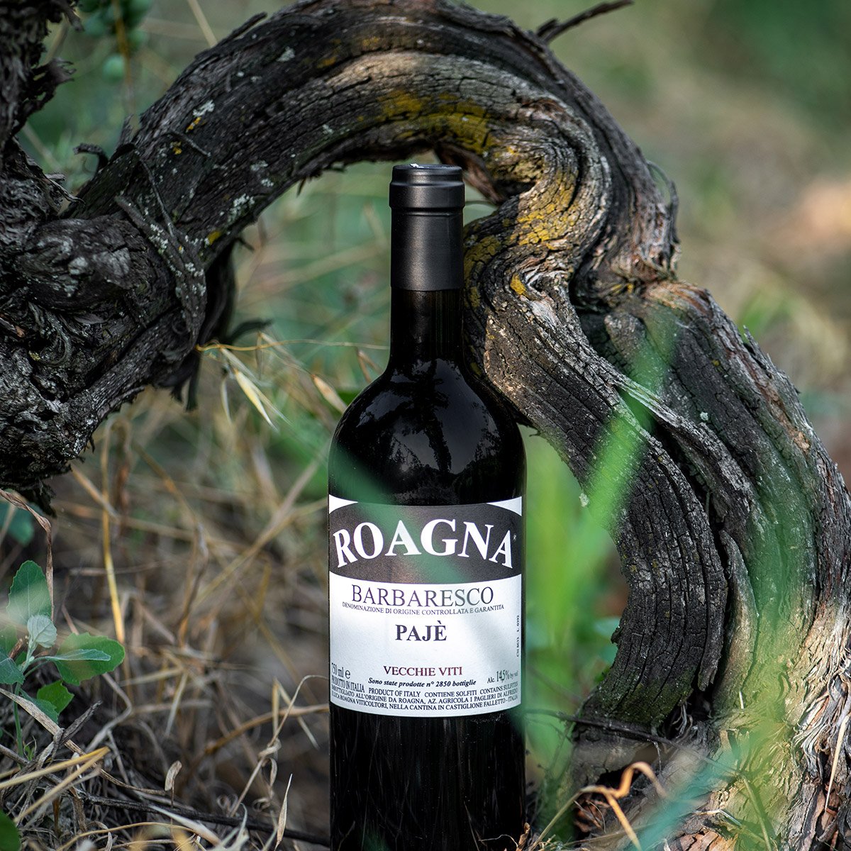 2018 Roagna Paje Vecchie Viti Barbaresco DOCG 750ml