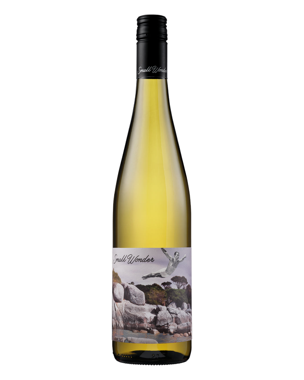 2025 Small Wonder Landscape Riesling 750ml